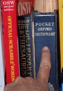Dictionary